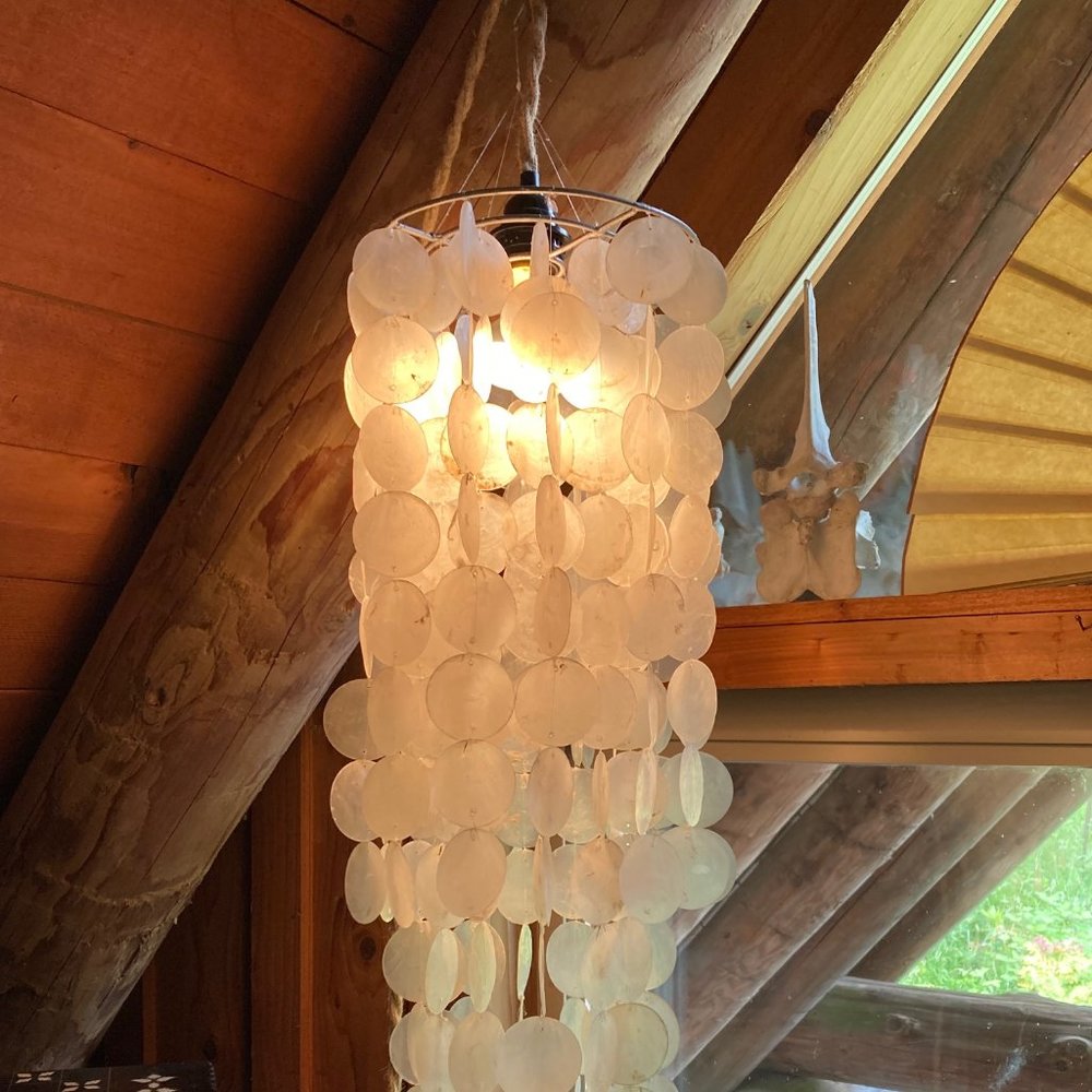 White Capiz Chandelier Light Shade